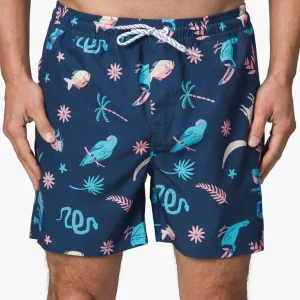 REEF Myers Elastic Waist Short 16" | Shorts, Boardshorts & Pants