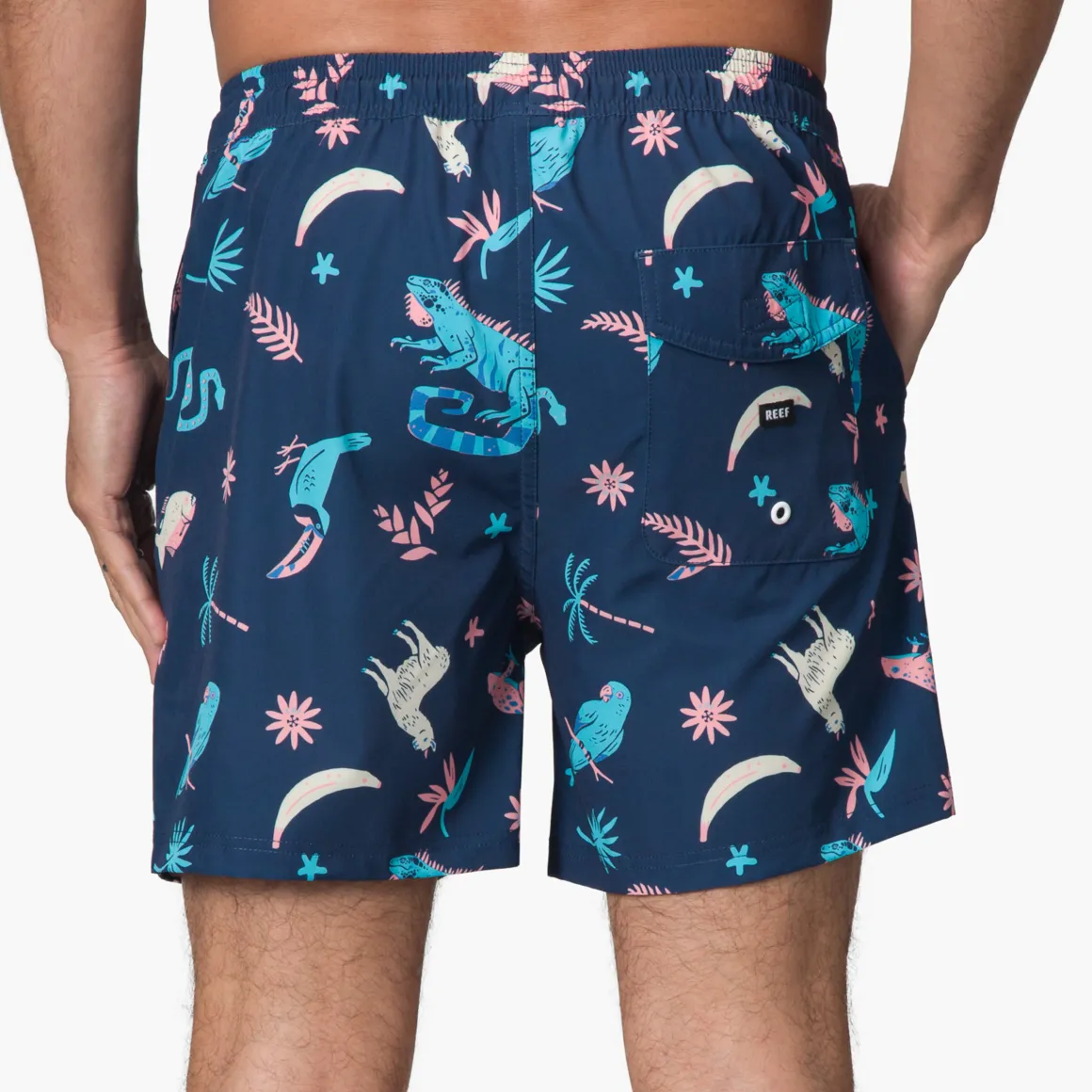 REEF Myers Elastic Waist Short 16" | Shorts, Boardshorts & Pants