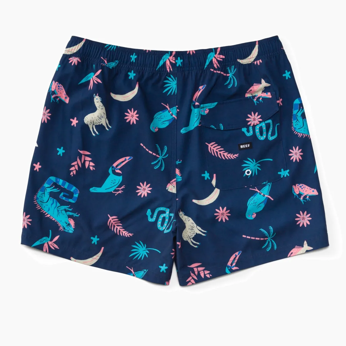 REEF Myers Elastic Waist Short 16" | Shorts, Boardshorts & Pants