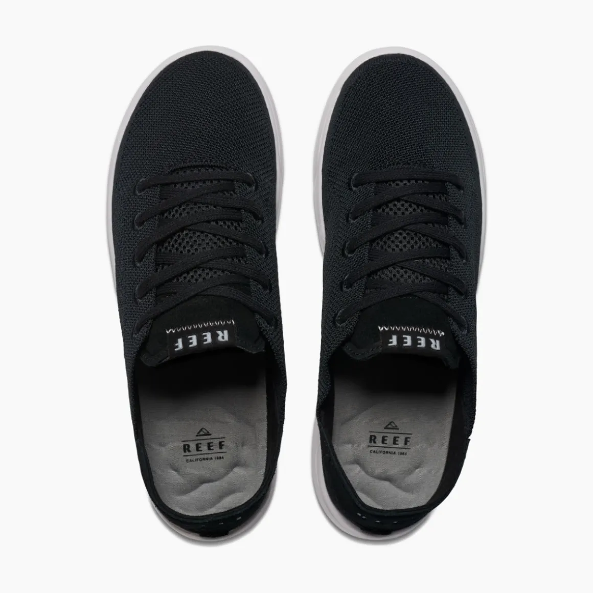 REEF Swellsole Neptune | Shoes
