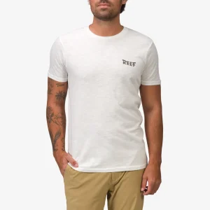 REEF Tayja Short Sleeve Tee | Shirts & T-shirts
