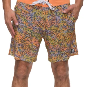 REEF Worley F/W Wvn Short | Shorts, Boardshorts & Pants